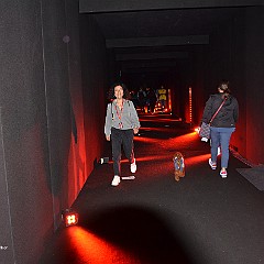DSC_4405